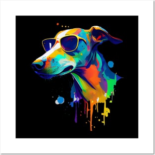 Colourful Cool Greyhound Dog with Sunglasses Posters and Art